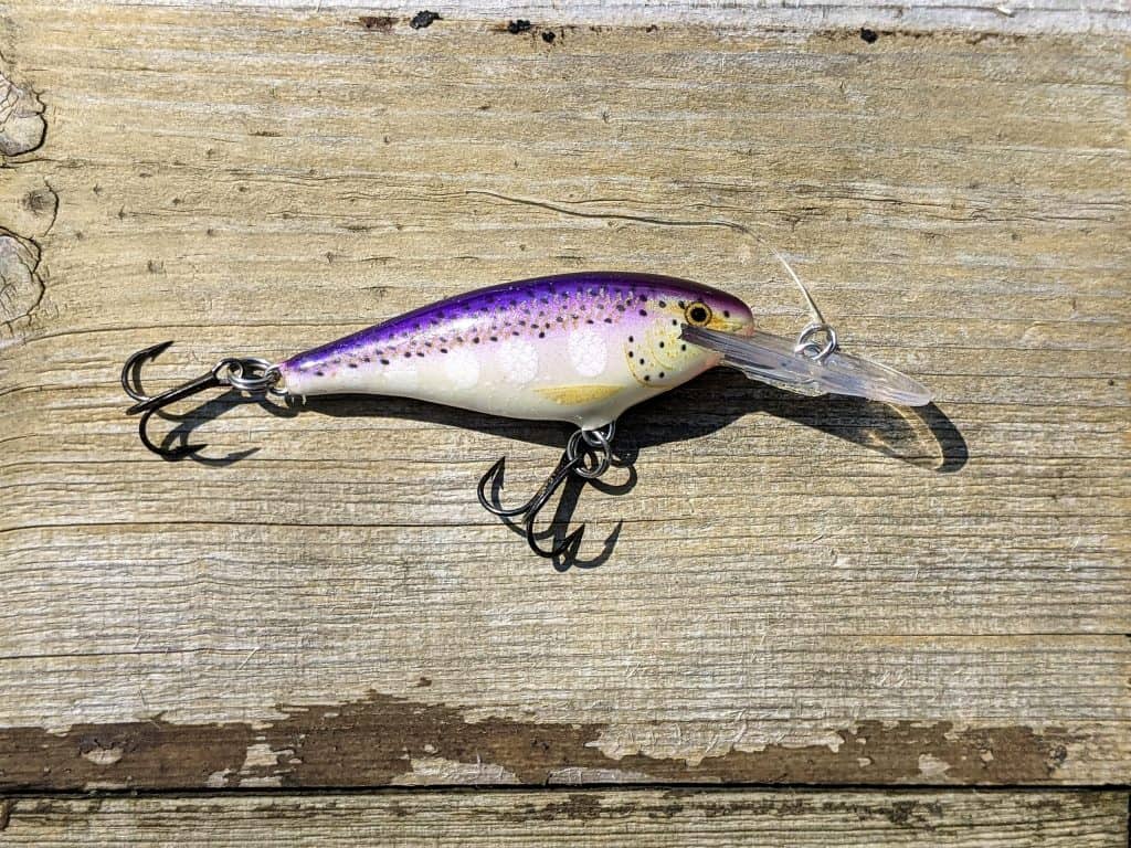 purple shad rap 5 crank baits for bass from Rapala