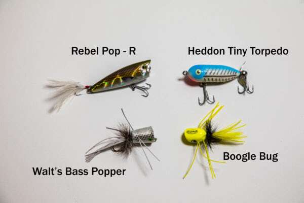 Two (2) Heddon Tiny Torpedo Topwater Fishing Lure - Assorted Colors