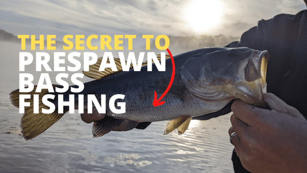 prespawn bass fishing