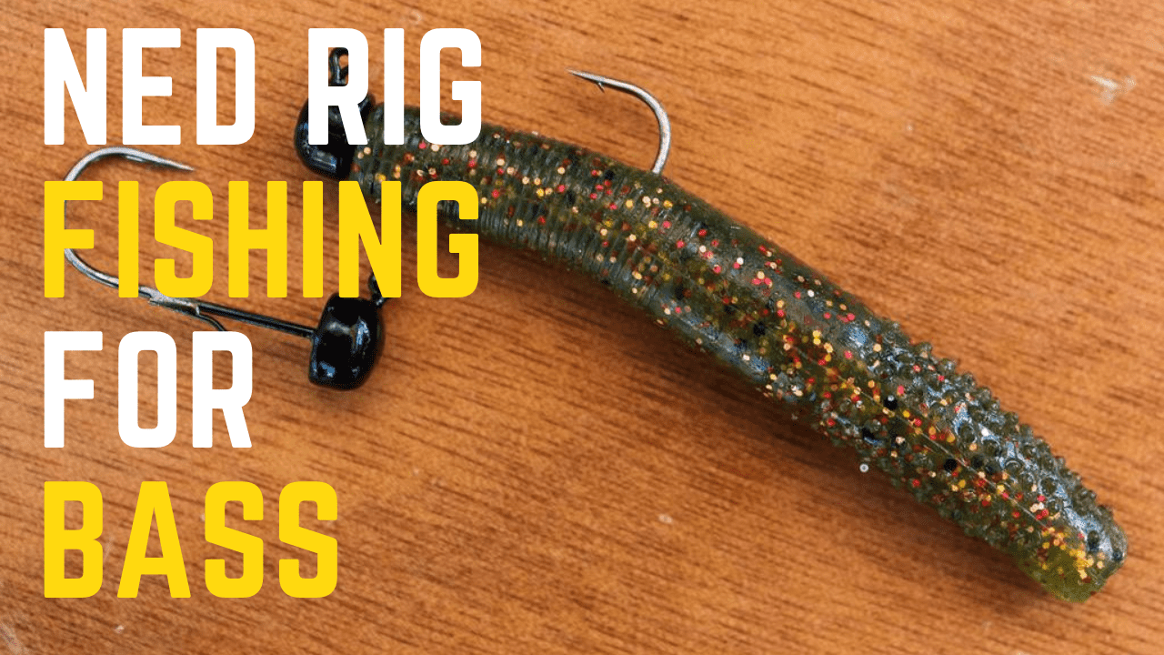 Ned Rig for Bottom Fishing in Challenging Conditions