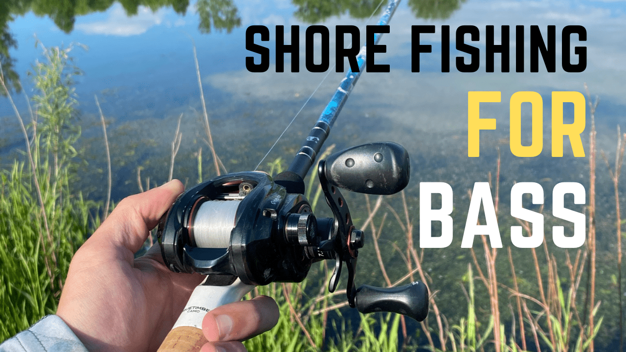 Shore Fishing For Bass - Tips & Techniques For Success