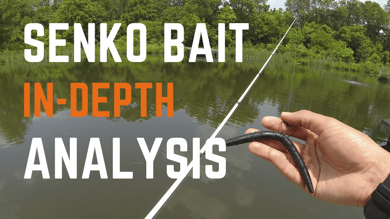 3 Senko Rigs that Produce on Tight-Lipped Summer Bass - Game & Fish