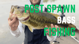 post spawn bass fishing