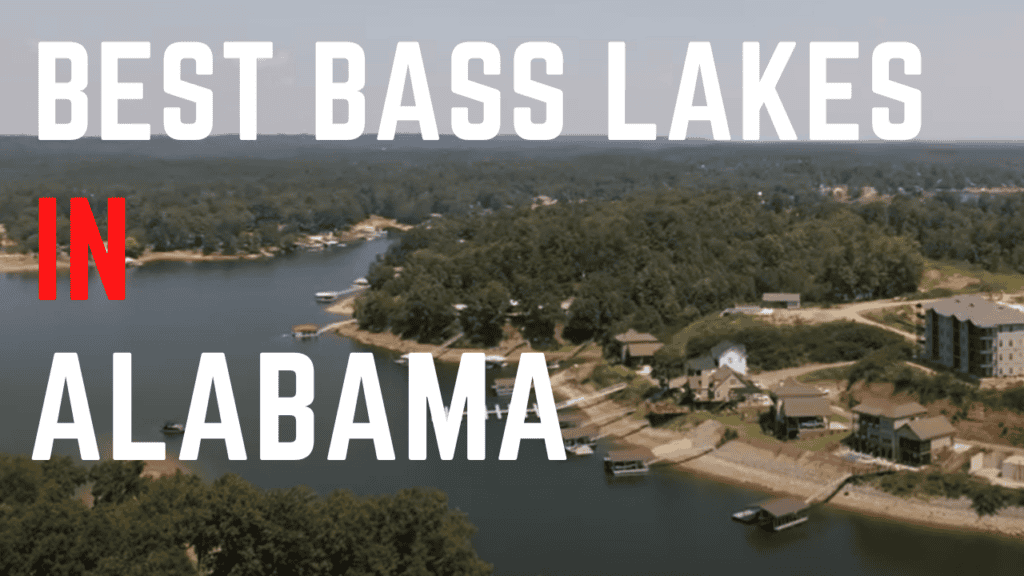 best bass fishing lakes in Alabama