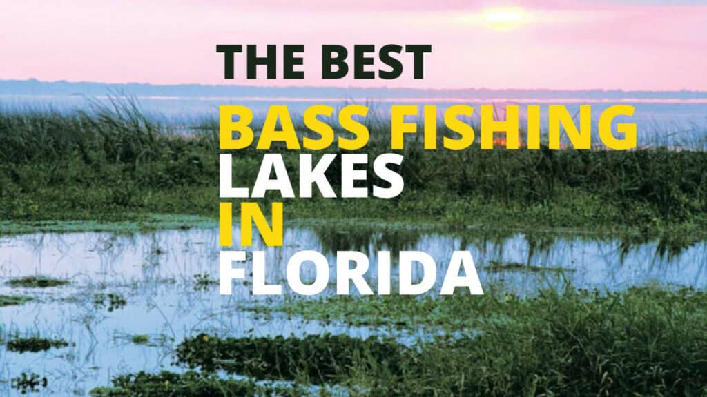 best bass fishing lakes in Florida