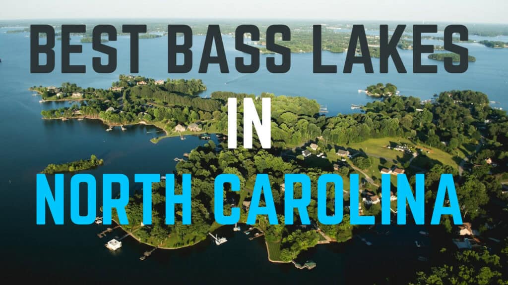 best bass fishing lakes in North Carolina