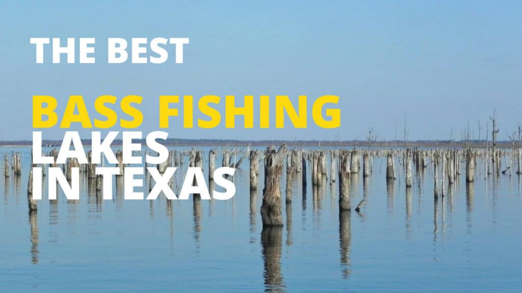 best bass fishing lakes in Texas