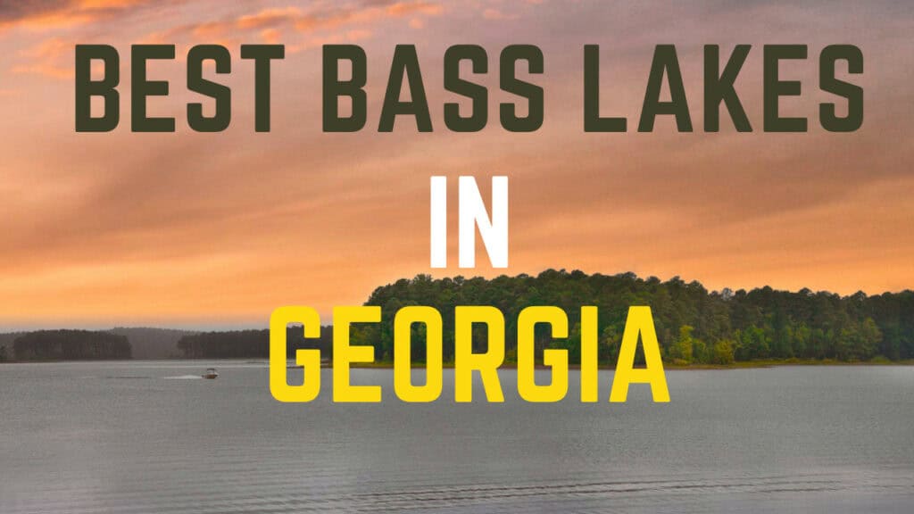 best bass lakes in Georgia - clarks hill lake