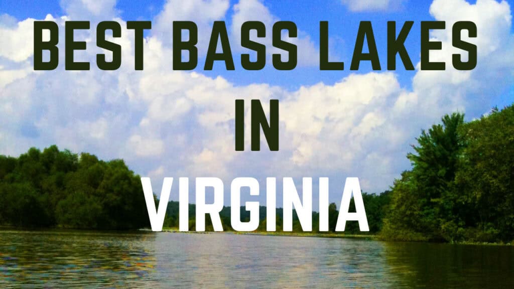 The Best Bass Fishing Lakes in Virginia