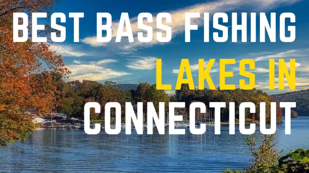Best Bass Fishing Lakes in Connecticut