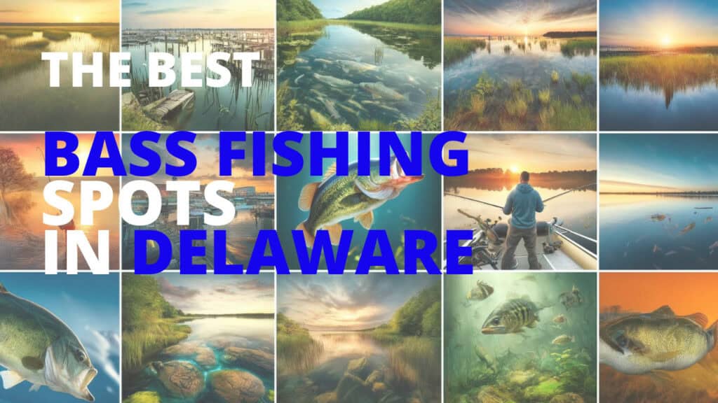 best bass fishing lakes in Delaware