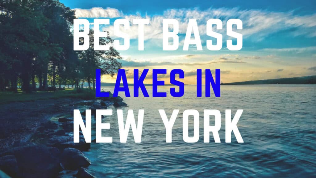 best bass fishing lakes in New York