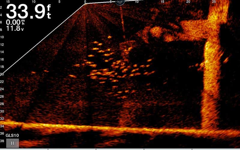 forward facing sonar