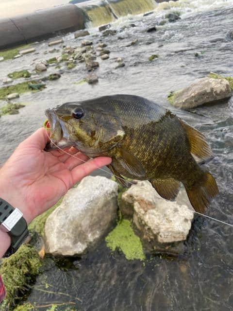 October bass fishing near spillway southern Minnesota