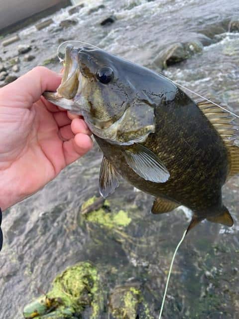 October bass fishing - smallmouth