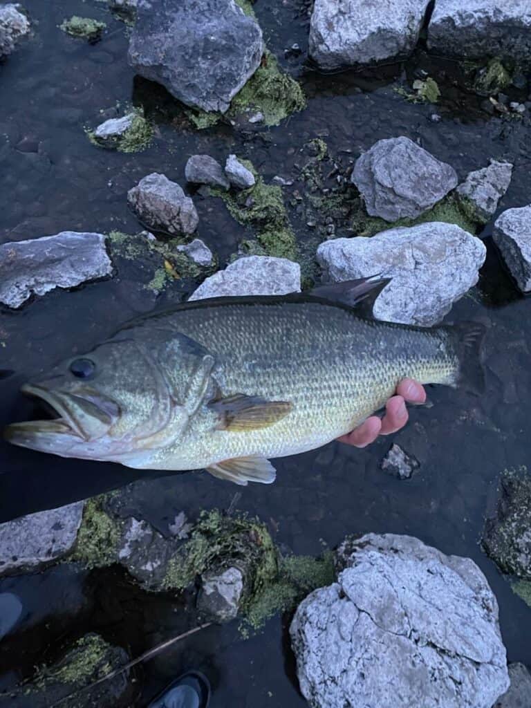 October bass fishing - spillway