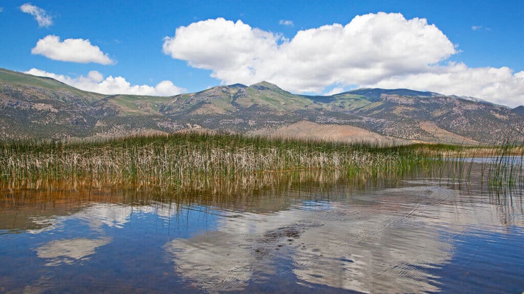 best bass fishing lakes in Nevada - Ruby Lake (National Wildlife Refuge in Nevada)