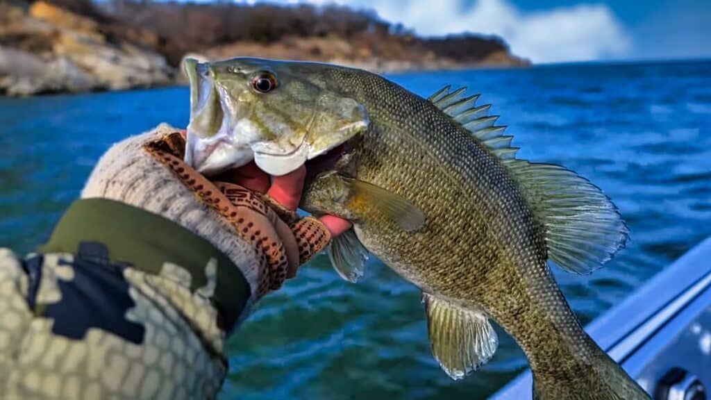 bass fishing in December